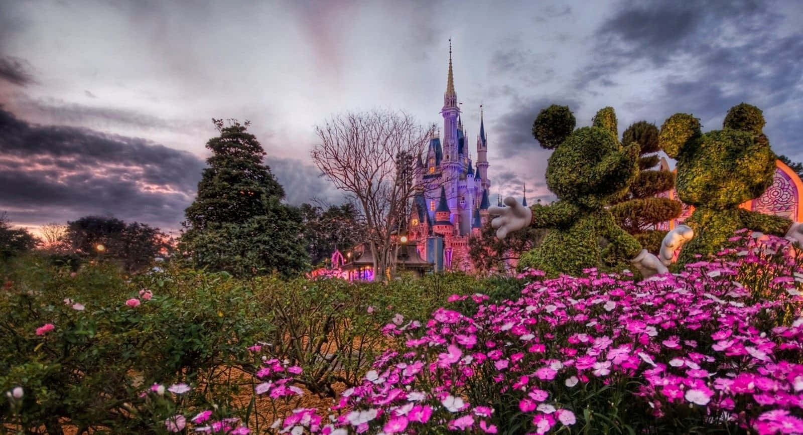 Magic Kingdom Rose Garden Disney Zoom Background