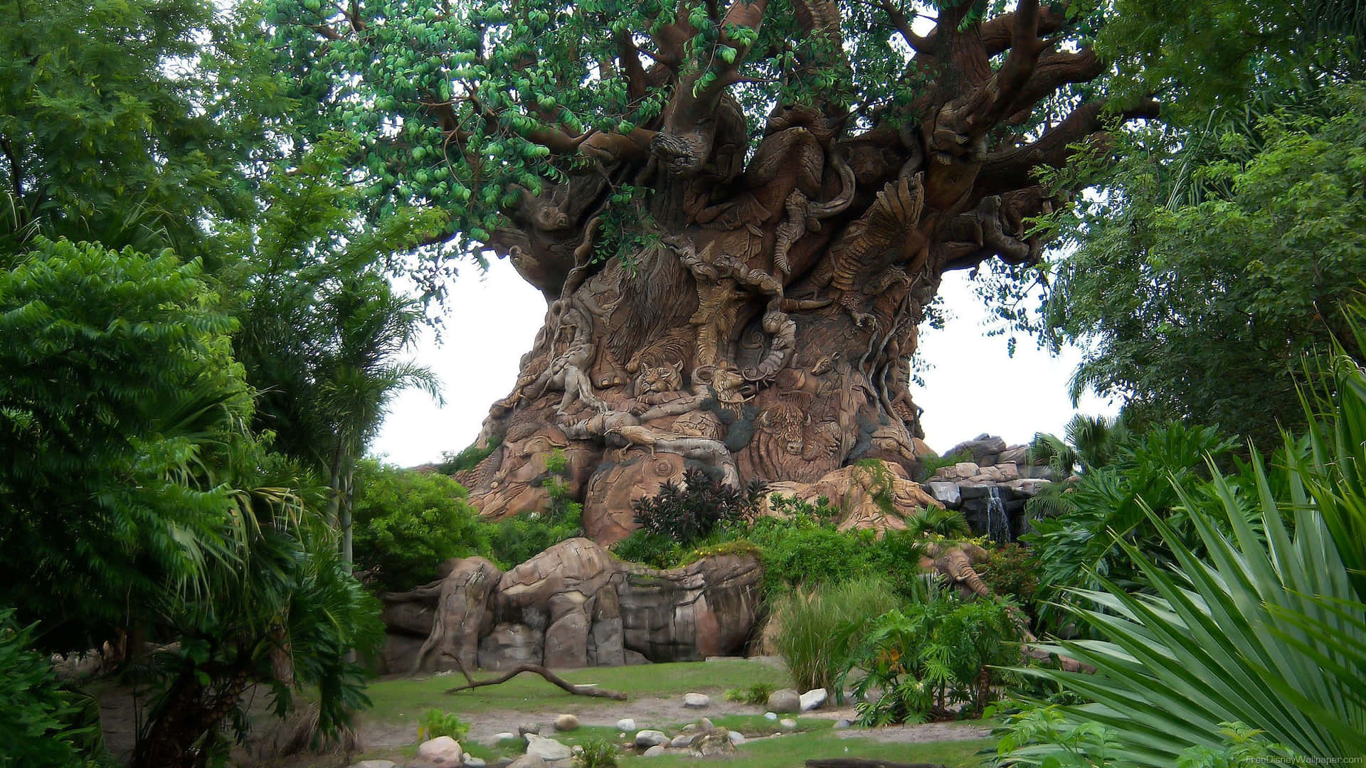 Tree Of Life Animal Kingdom Disney Zoom Background