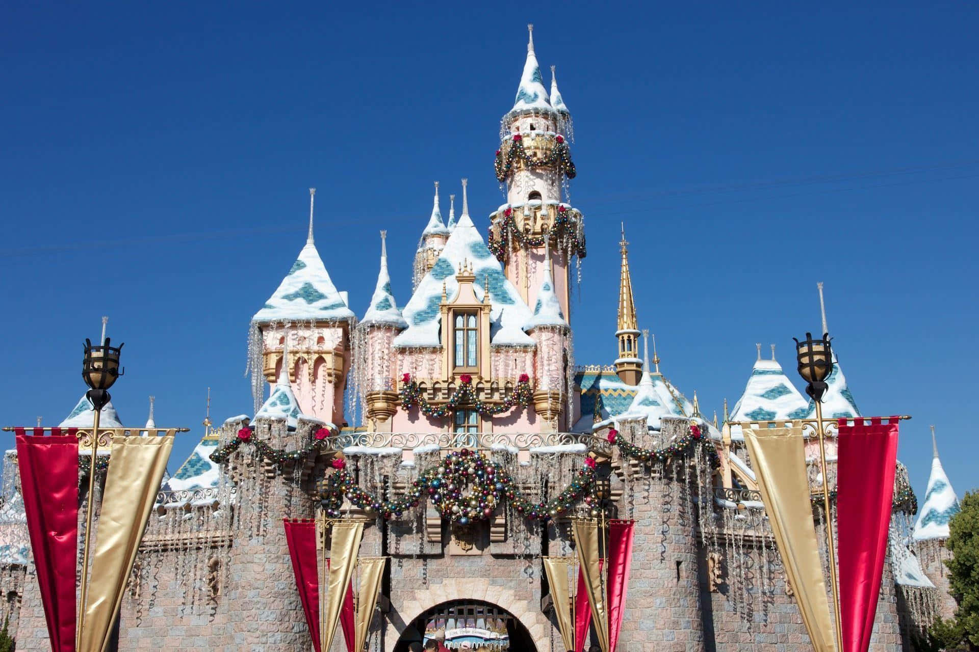 Venhaexplorar A Maravilha E A Emoção Da Disneyland!