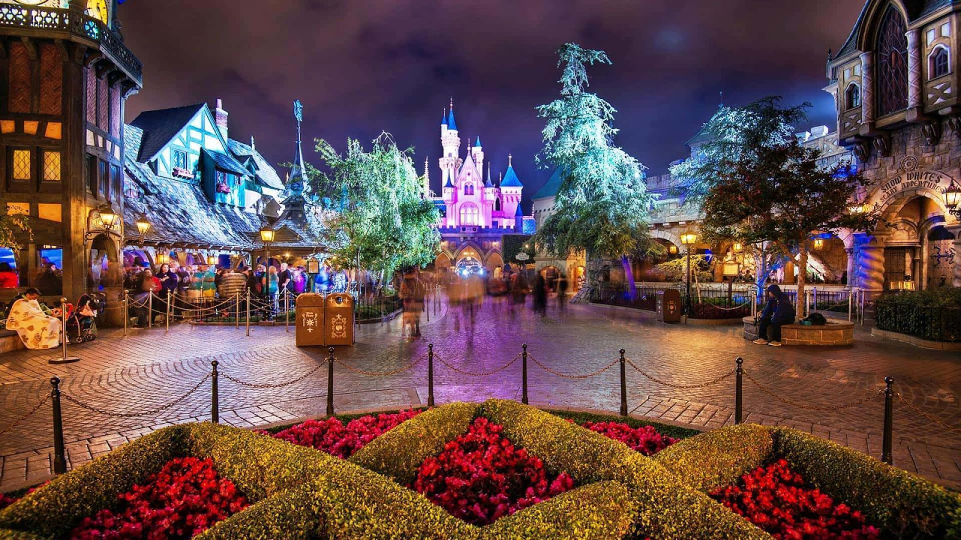 Enjoy the Magic of Disneyland