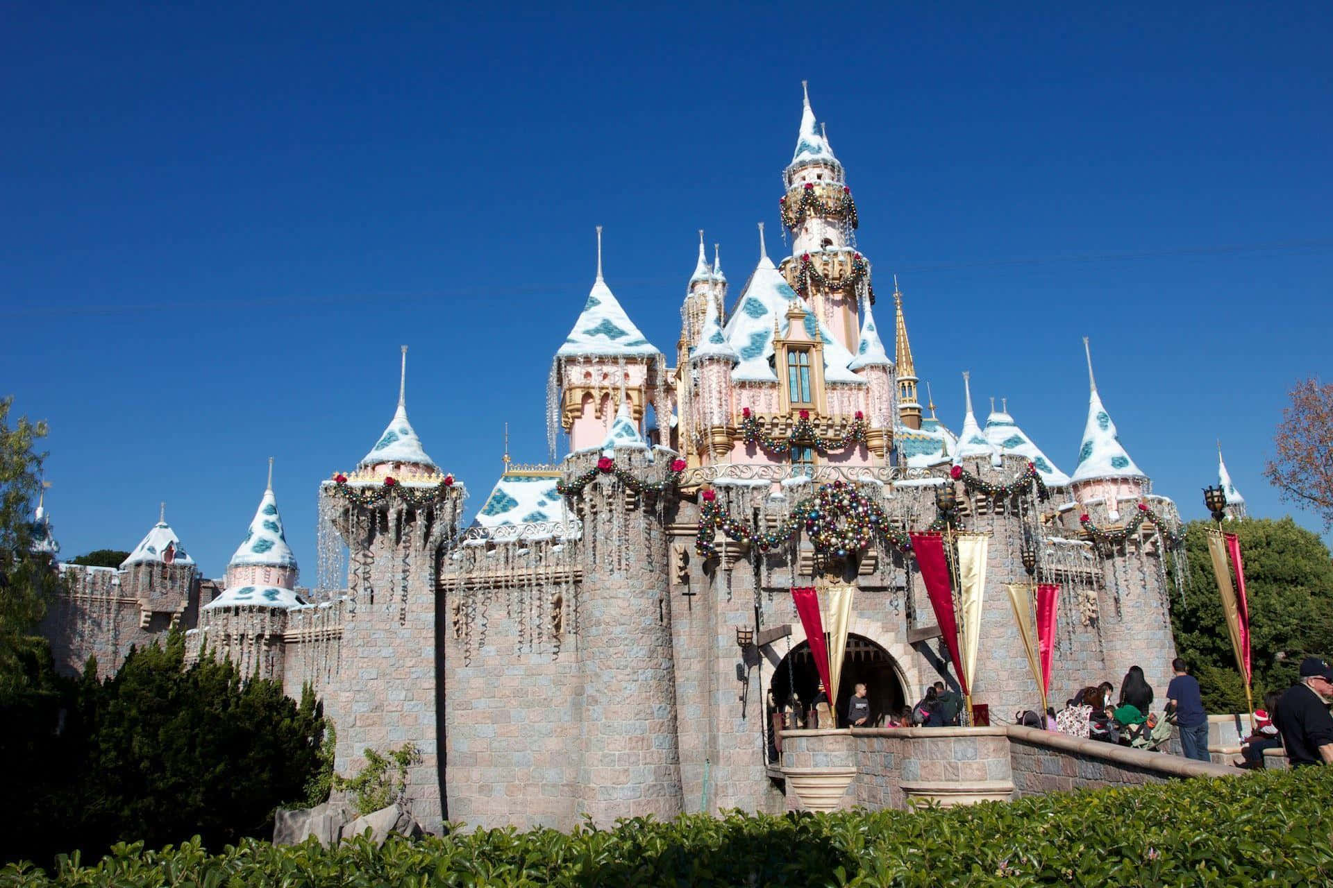 Erlebedie Magie Von Disneyland!