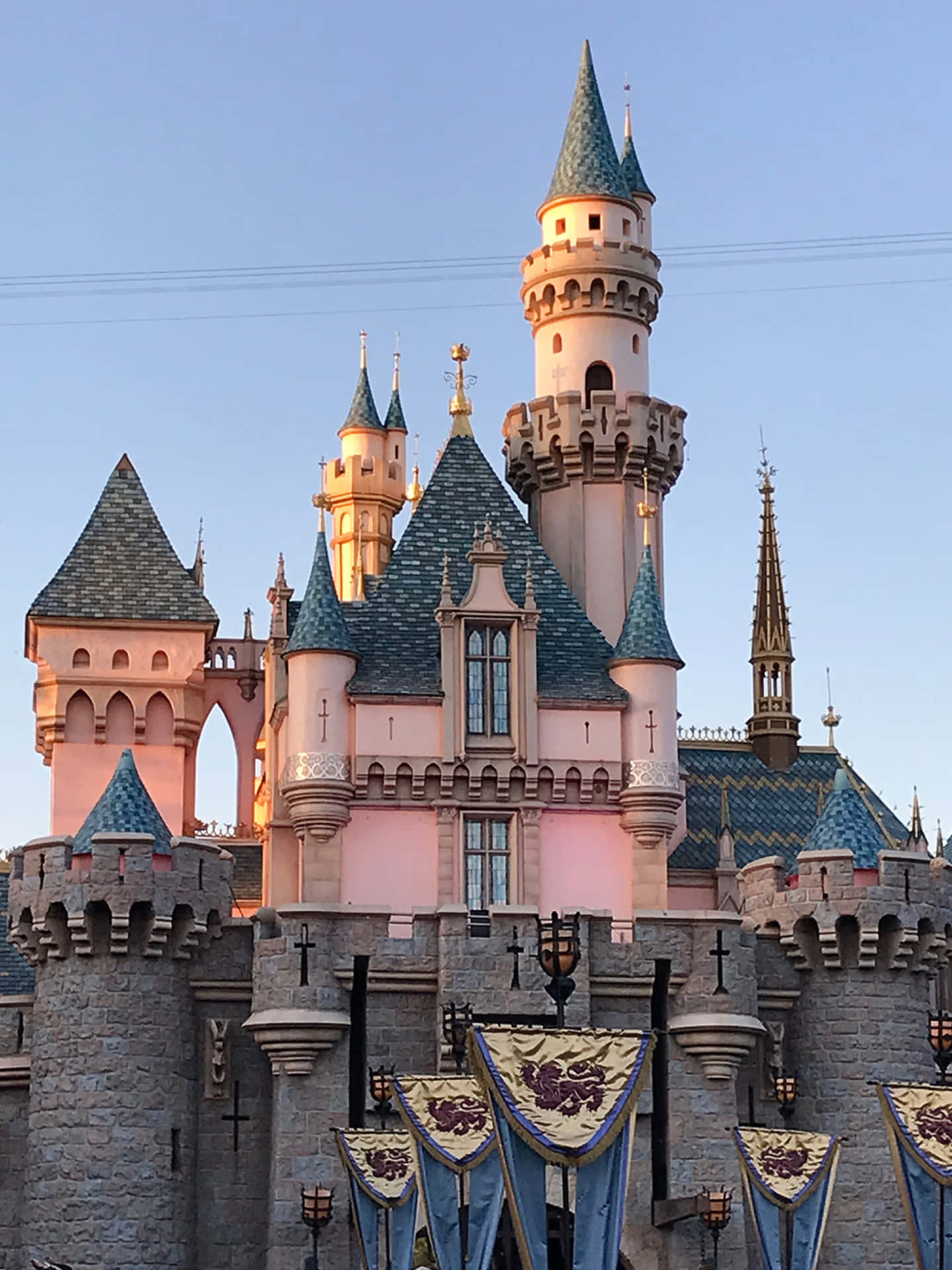 Billeder af Disneyland pynte tapetet.