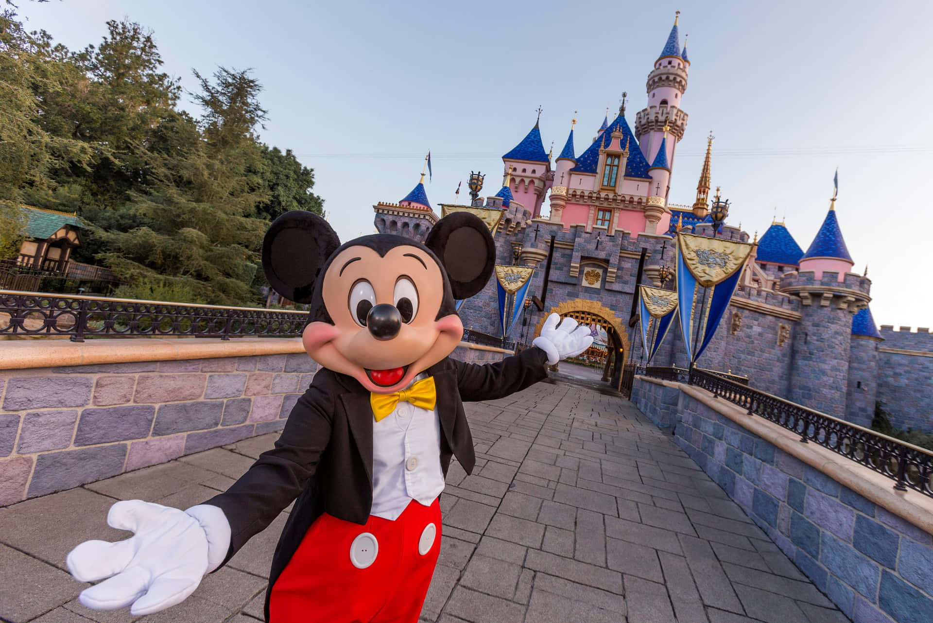 Disneyland billeder af Mickey og Minnie gav værelset et sødt udseende.