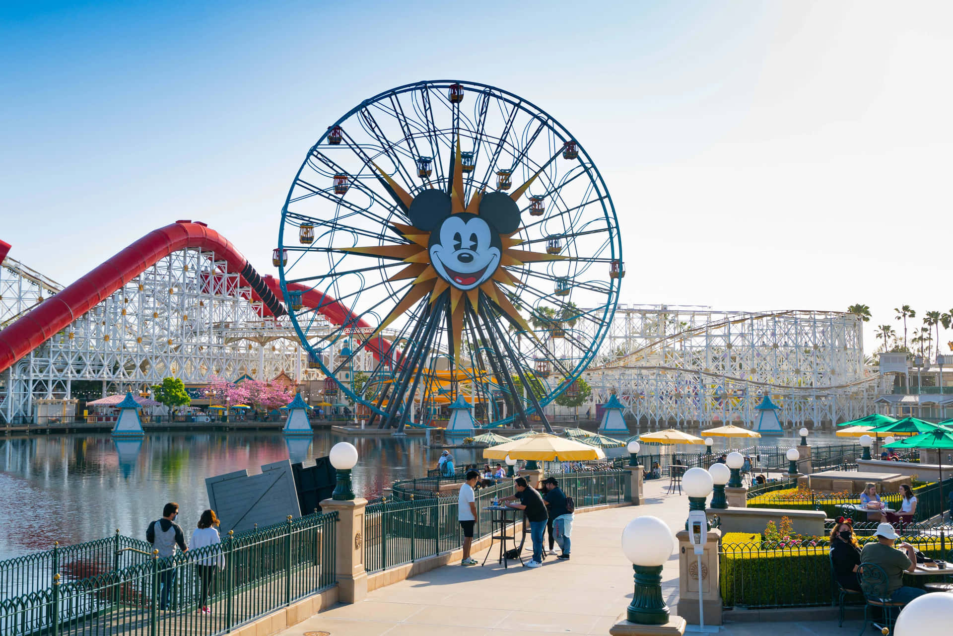 Disneyland California Adventure Park Ferris Wheel Wallpaper