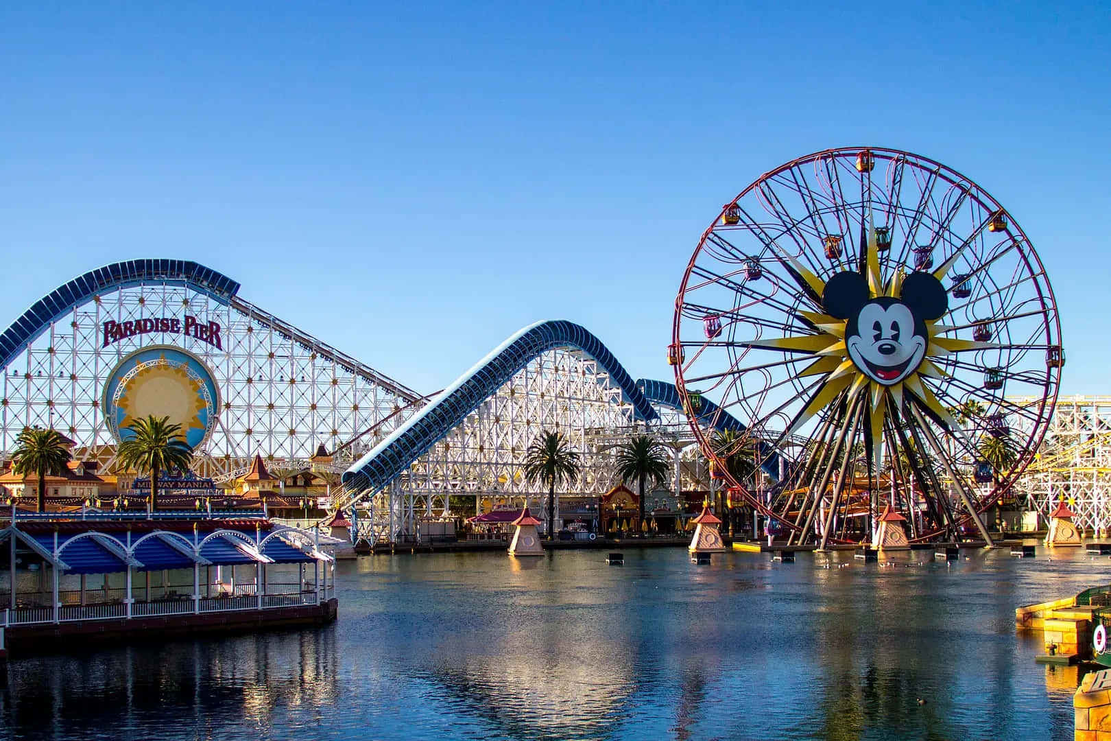 Disneyland California Adventure Park Ferris Wheeland Roller Coaster Wallpaper