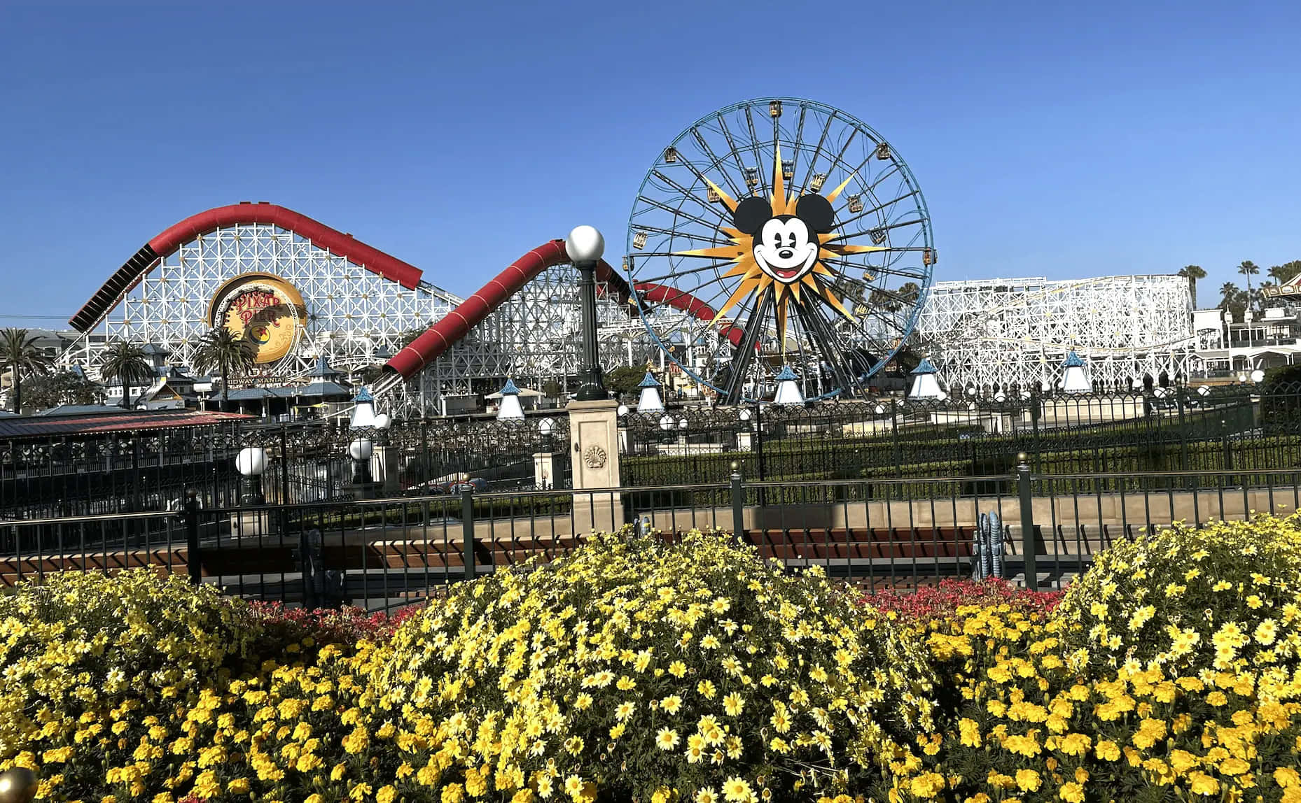 Disneyland California Adventure Park View Wallpaper