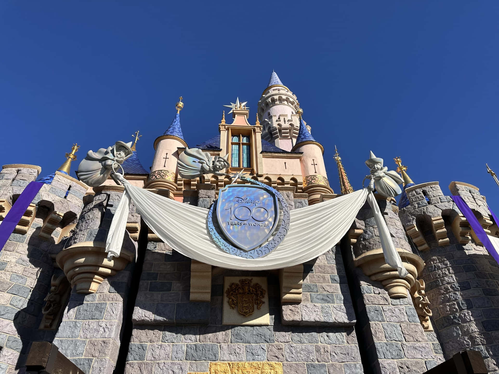 Disneyland Castle Celebration Banner Wallpaper