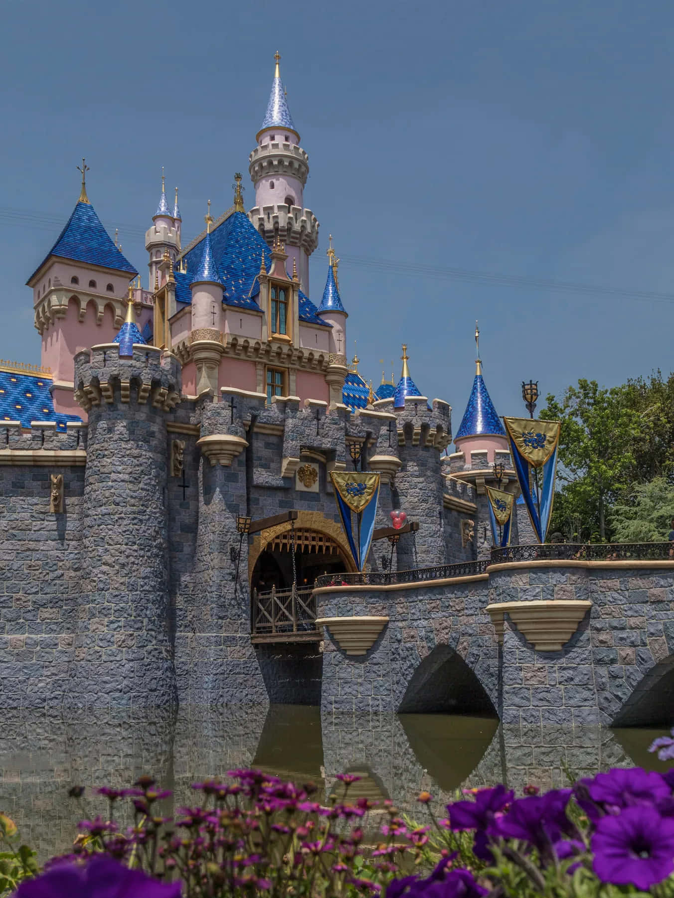 Disneyland Castle Daytime View Wallpaper