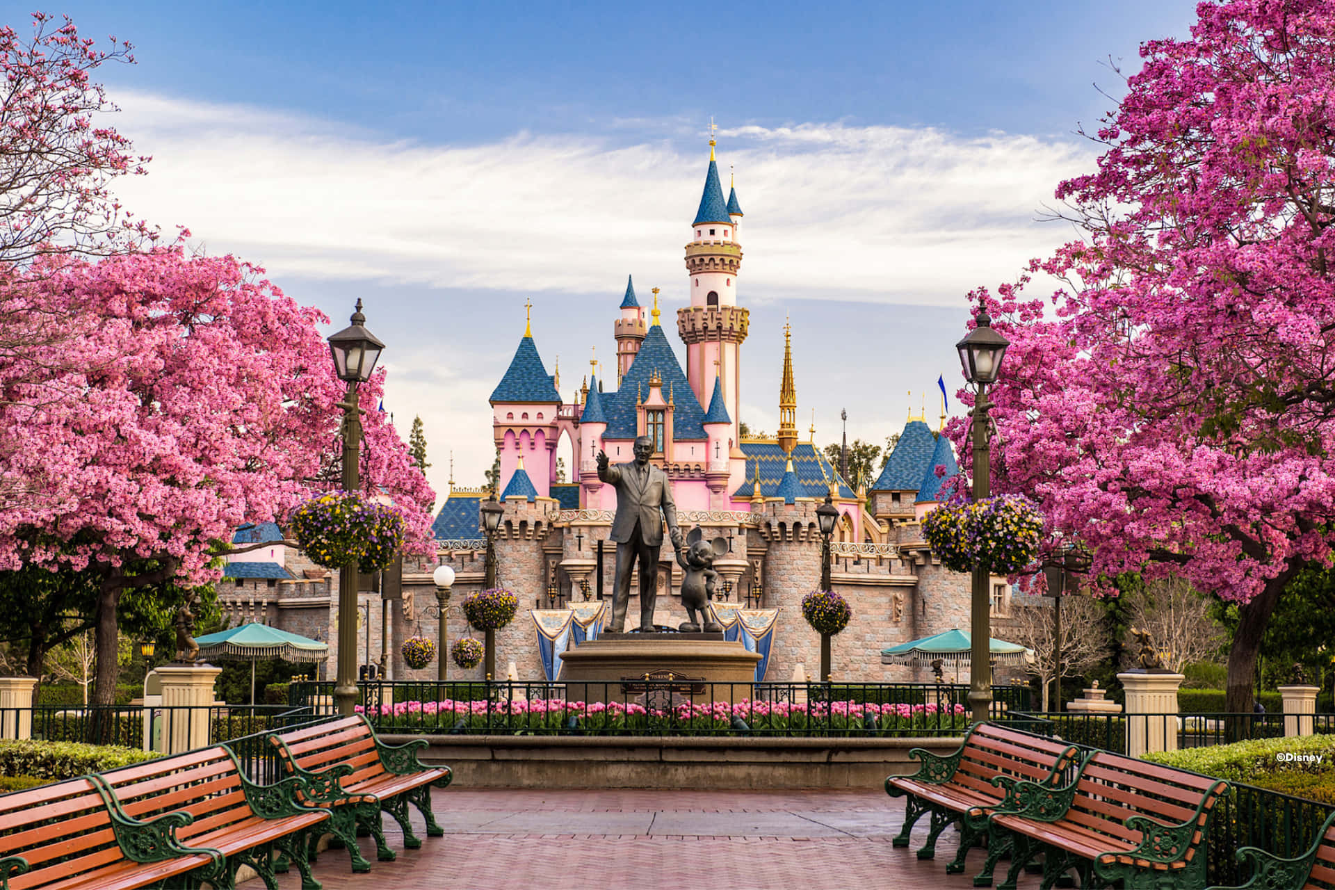 Disneyland Castleand Statuewith Blooming Trees Wallpaper