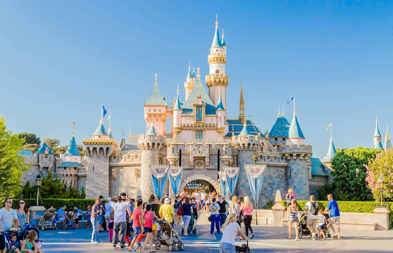 Disneyland Castlewith Visitors Wallpaper