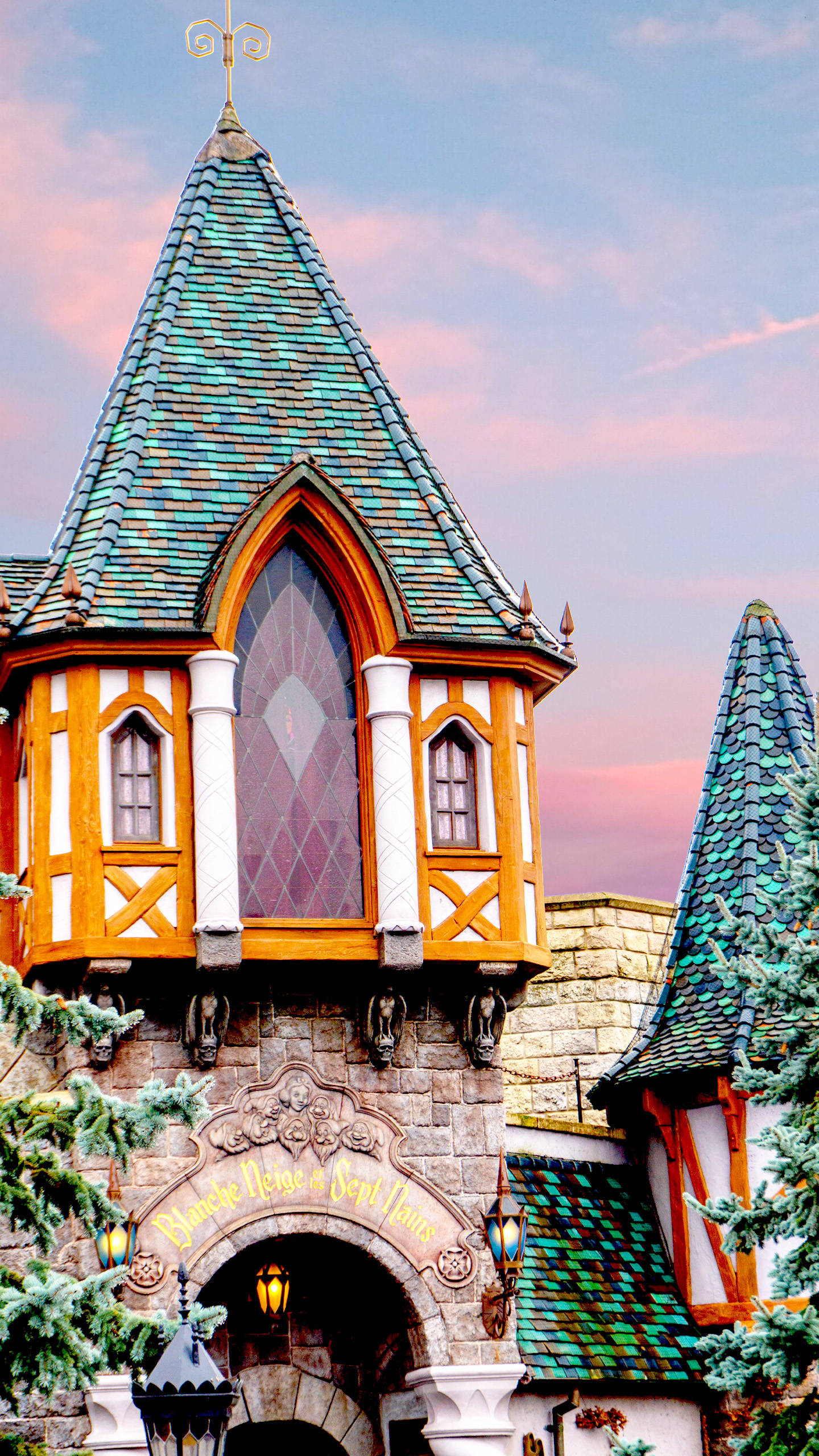 Disneyland Enchanted Window Background