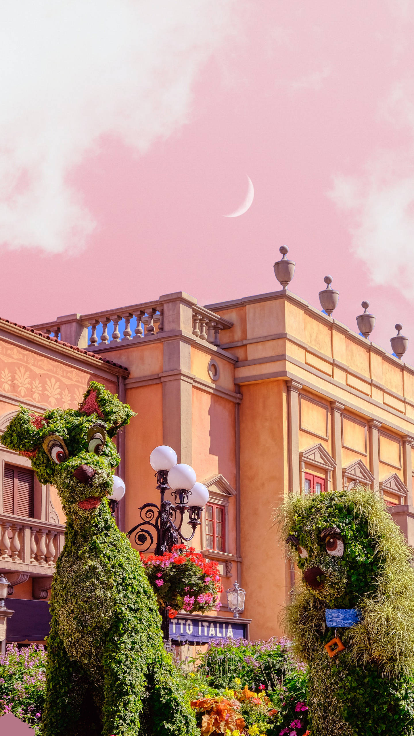 Disneyland Lady And The Tramp Hedges Wallpaper
