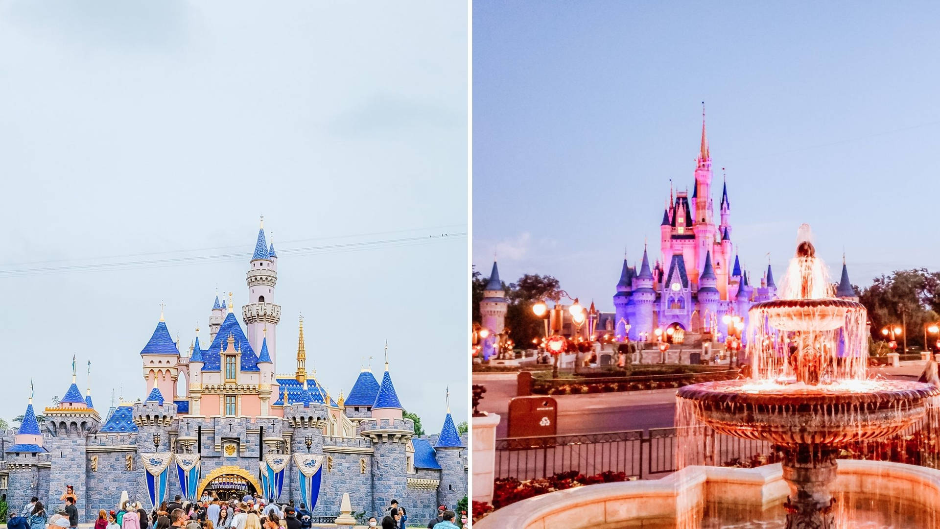 Disneyworld Day And Night Wallpaper