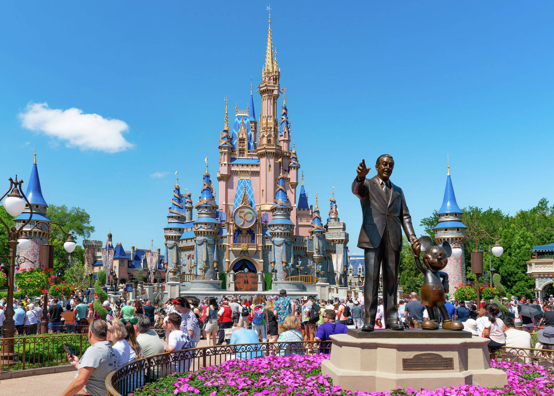 Entradaal Reino De La Fantasía De Disneyworld Fondo de pantalla