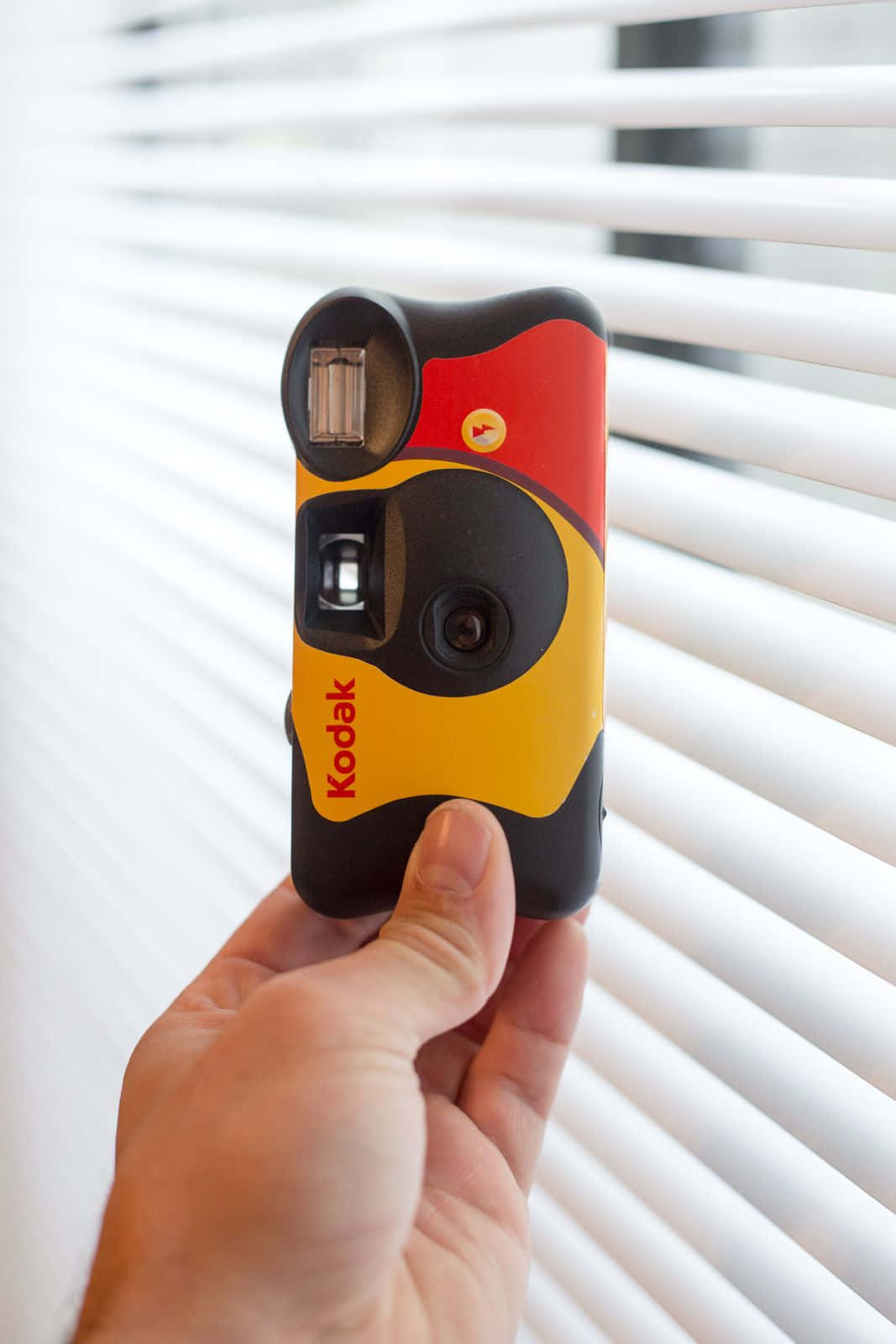 Capturing Life In An Instant - Disposable Cameras