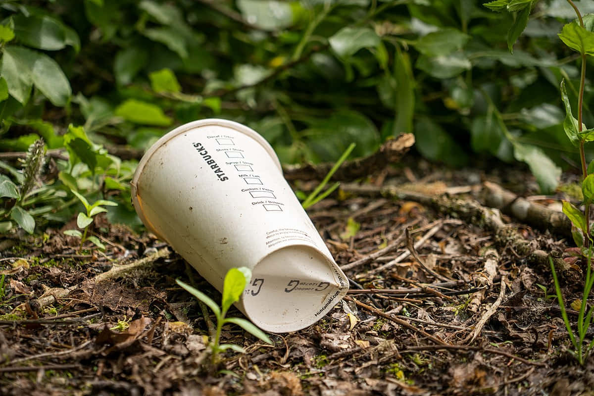 Disposable Cup On The Ground Wallpaper