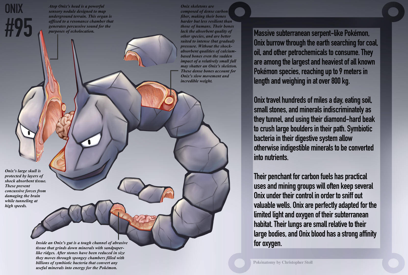 Dissecting Onix Poster Picture