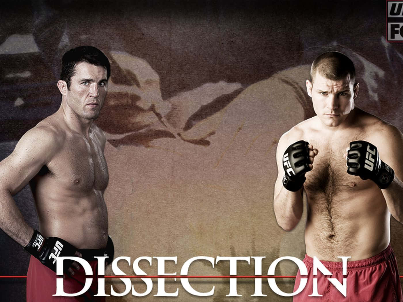 Dissection Fight With Chael Sonnen Wallpaper