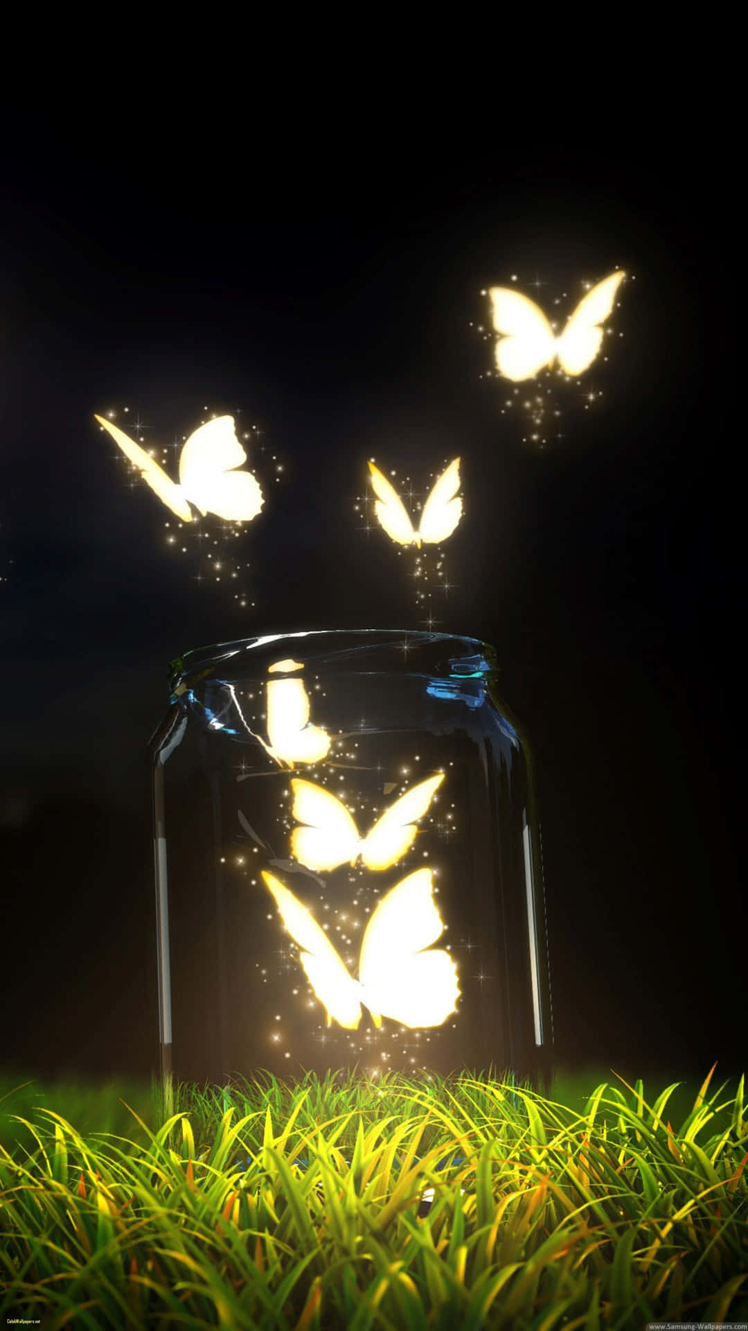 Distinct Butterfly Photo Wallpaper