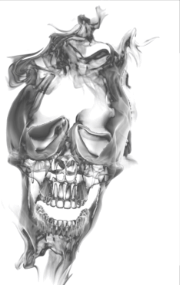 Distorted Skull Illusion PNG