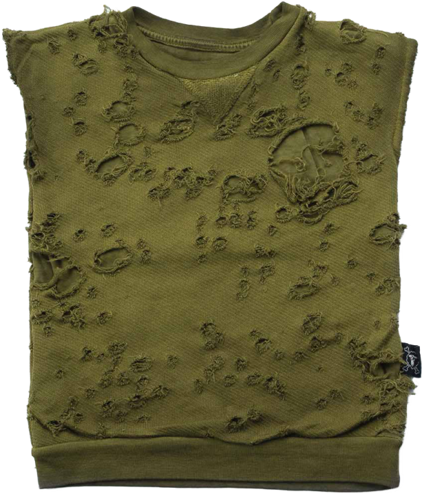 Distressed Green Blouse Texture PNG