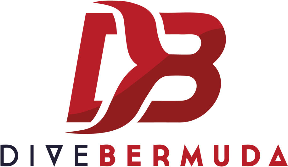 Dive Bermuda Logo Redand Blue PNG