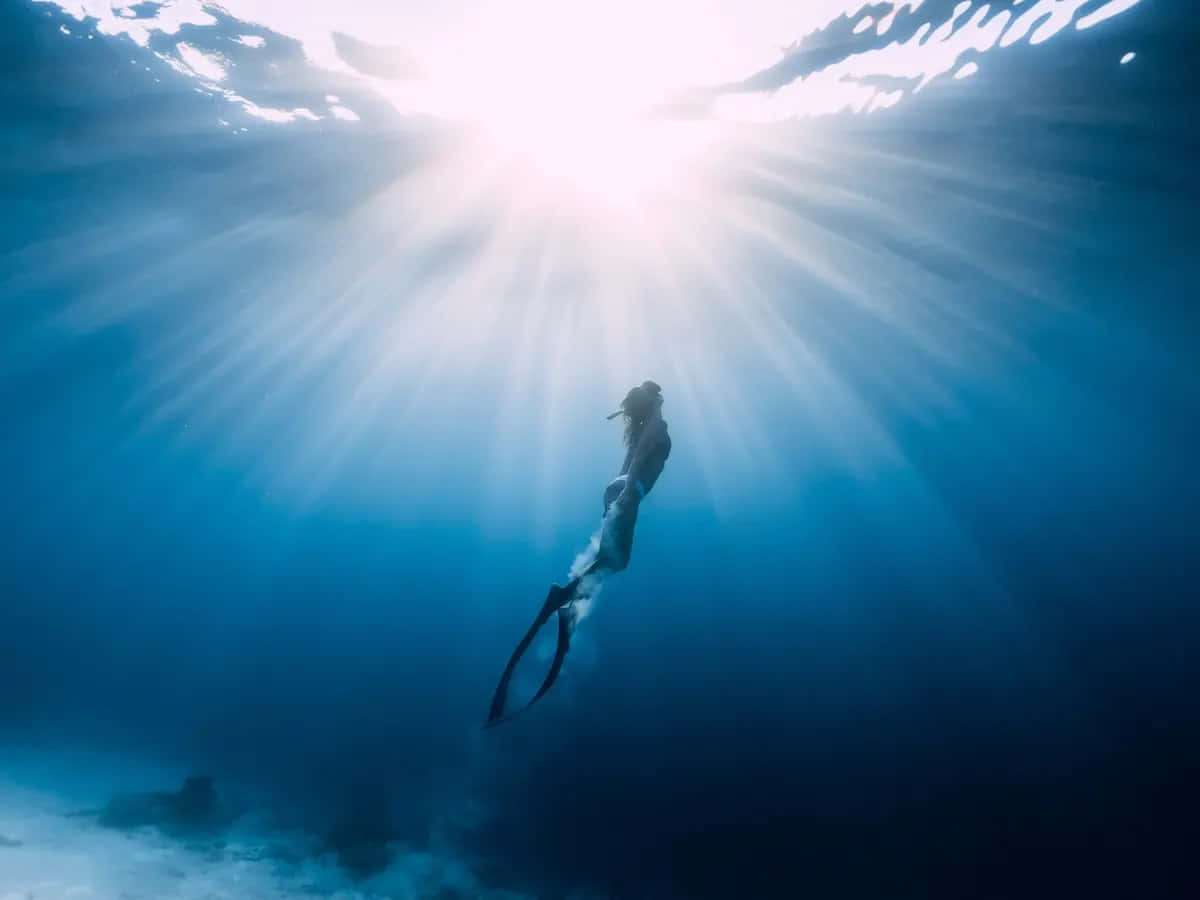 Diver Ascending Under Sunrays Wallpaper