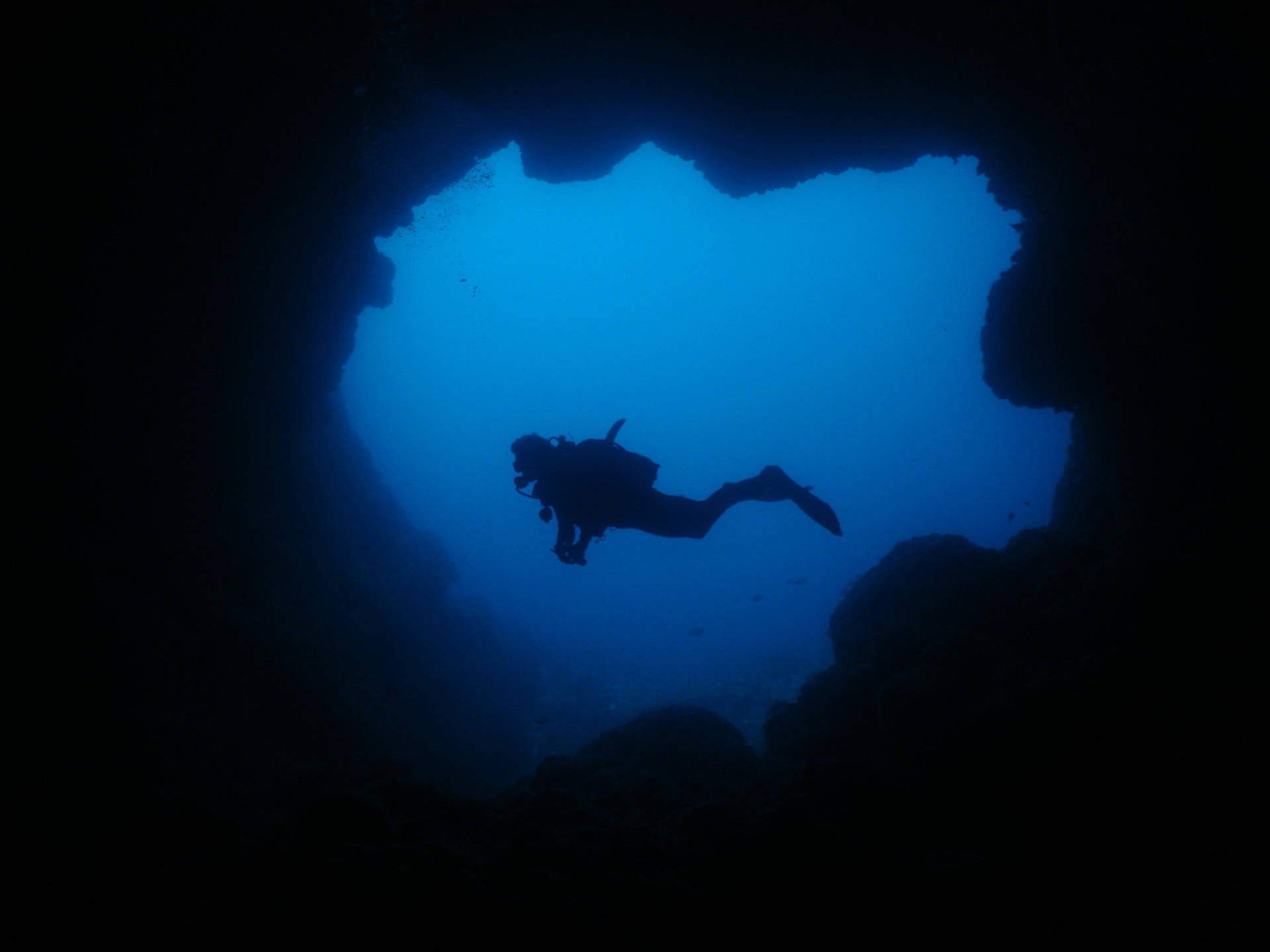 Diver's Silhouette While Snorkeling Wallpaper