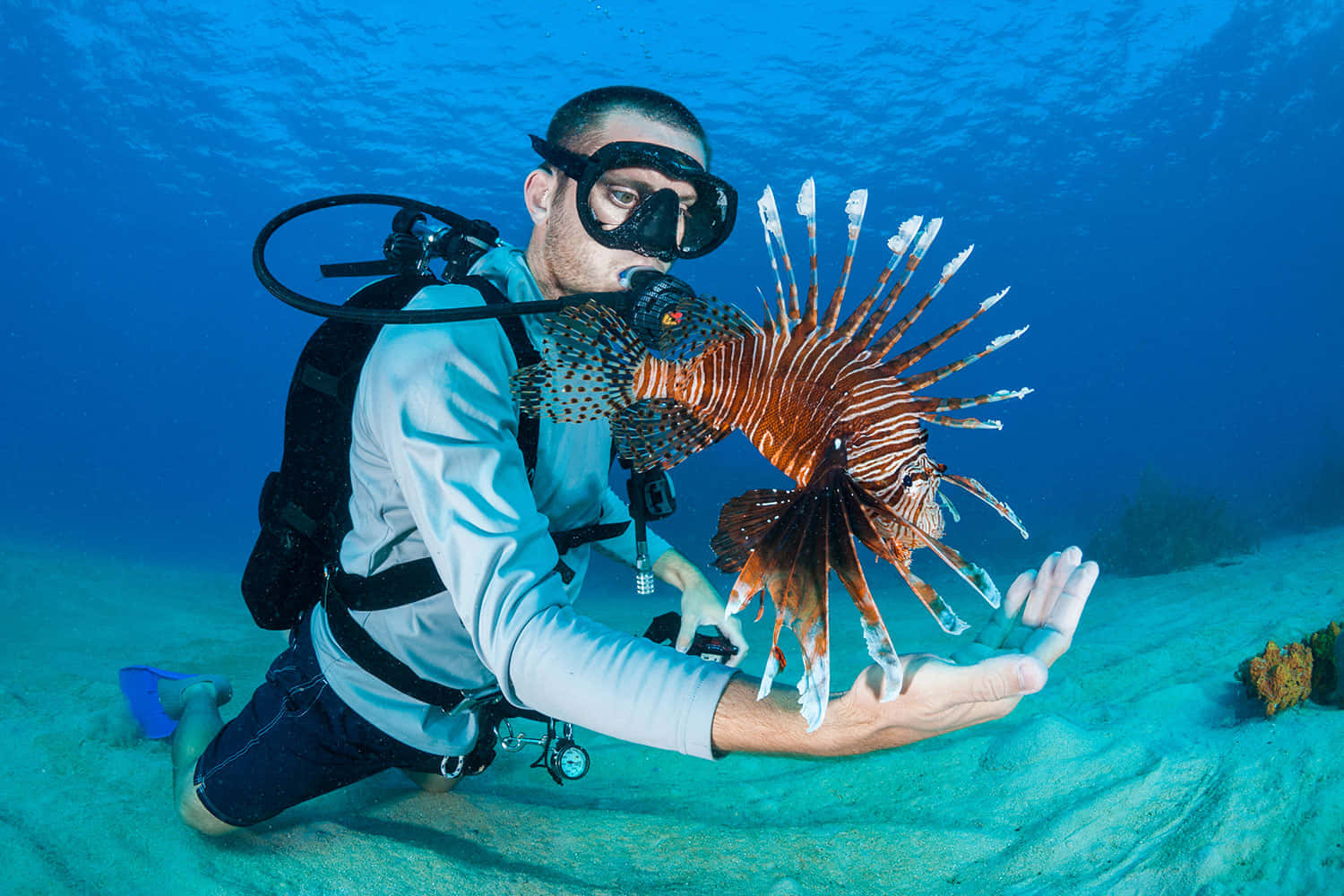 Diver_with_ Red_ Lionfish Wallpaper