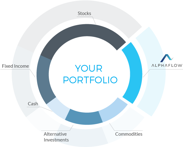 Diversified Investment Portfolio Chart PNG