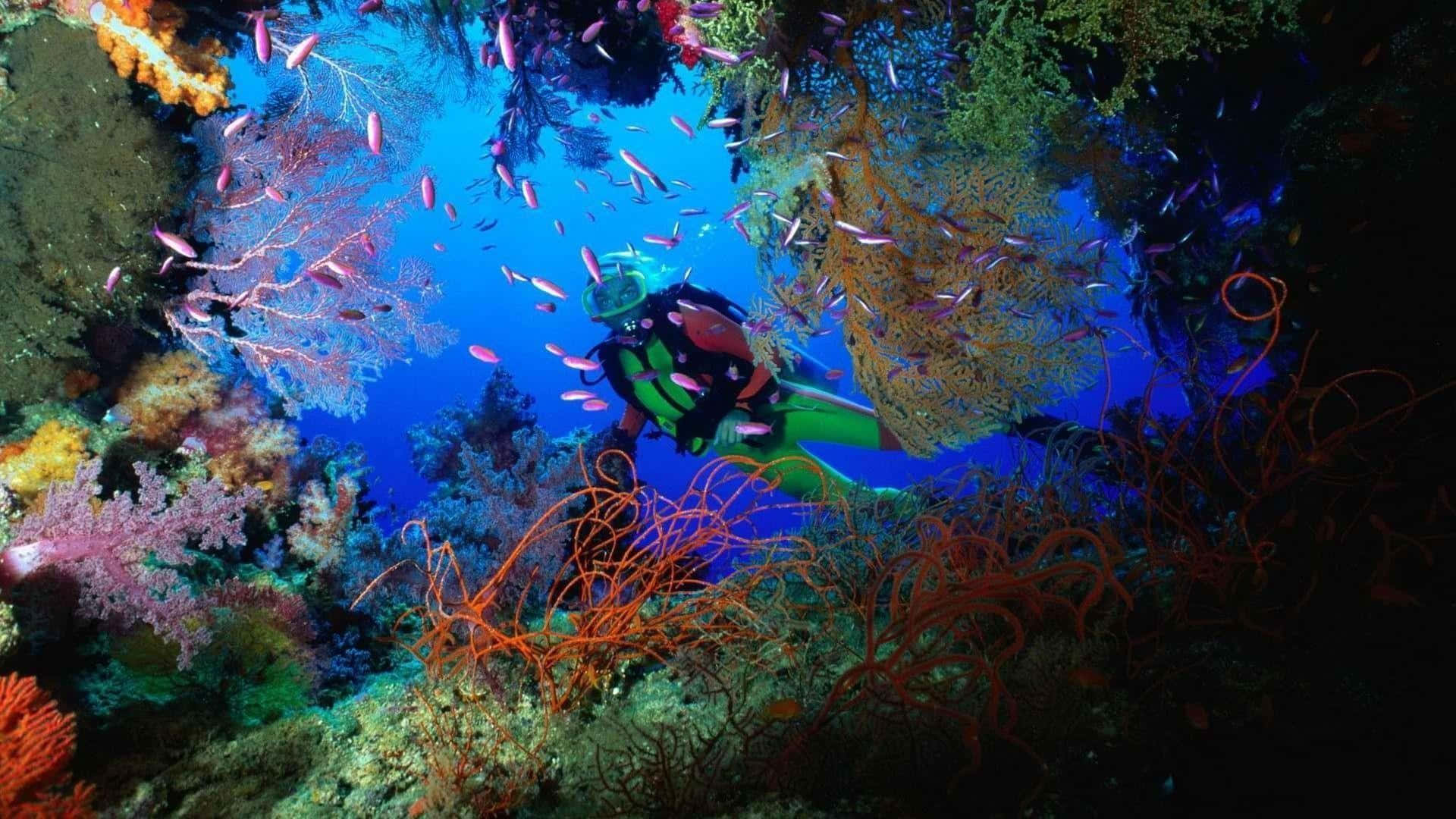 Taucheein In Unbekannte Tiefen Und Erkunde Eine Geheimnisvolle Unterwasserwelt