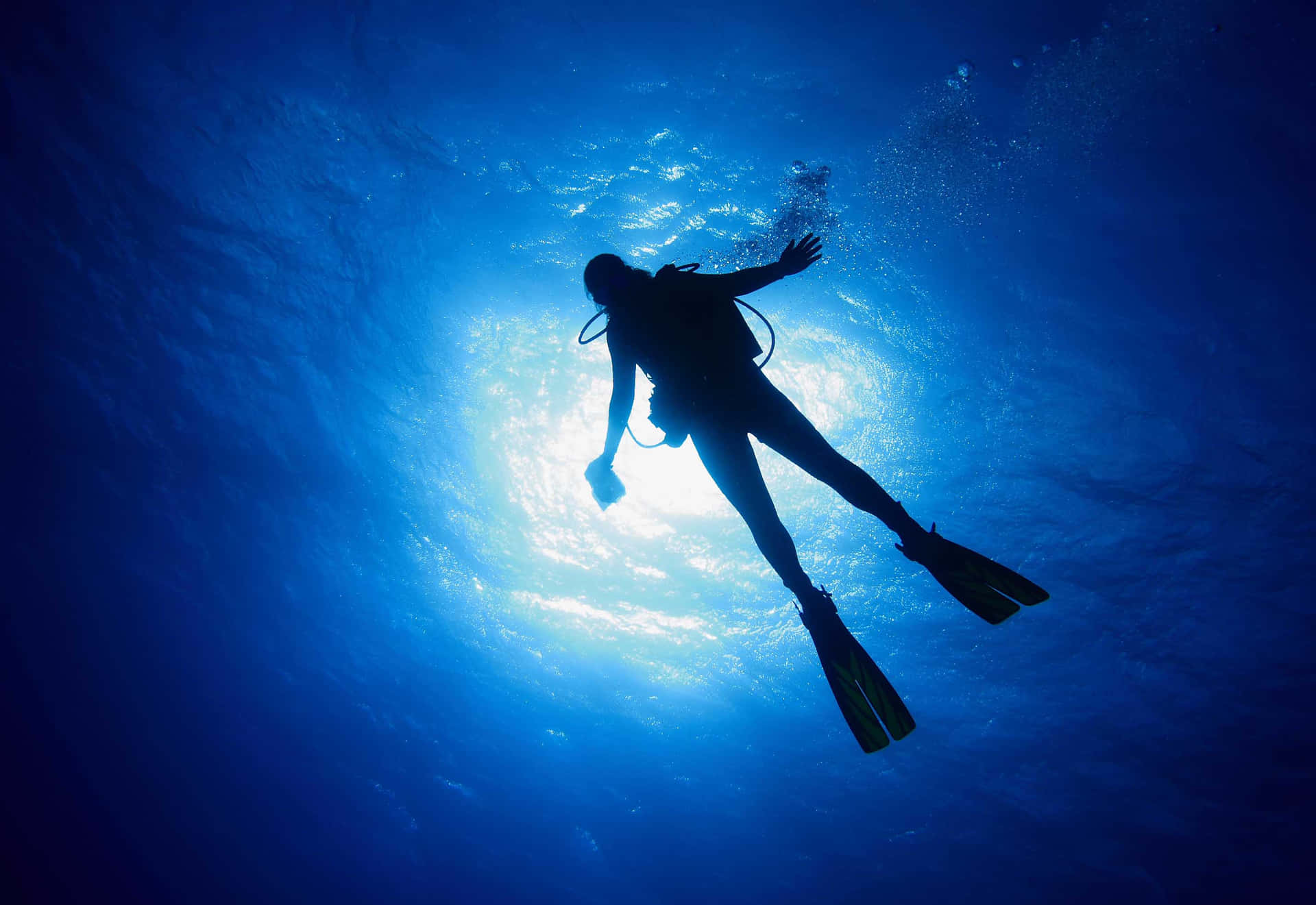 A diver dives in the blue, pristine sea
