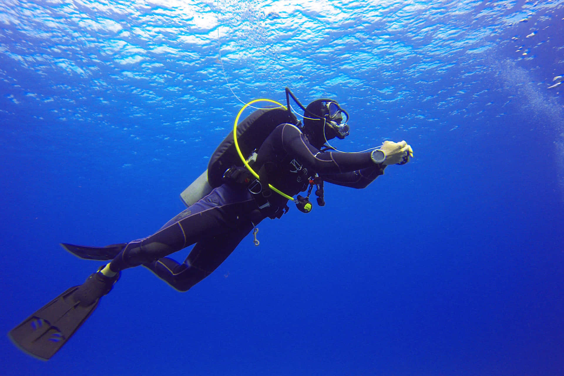 Diving Deep into the Clear Blue - Underwater Adventure