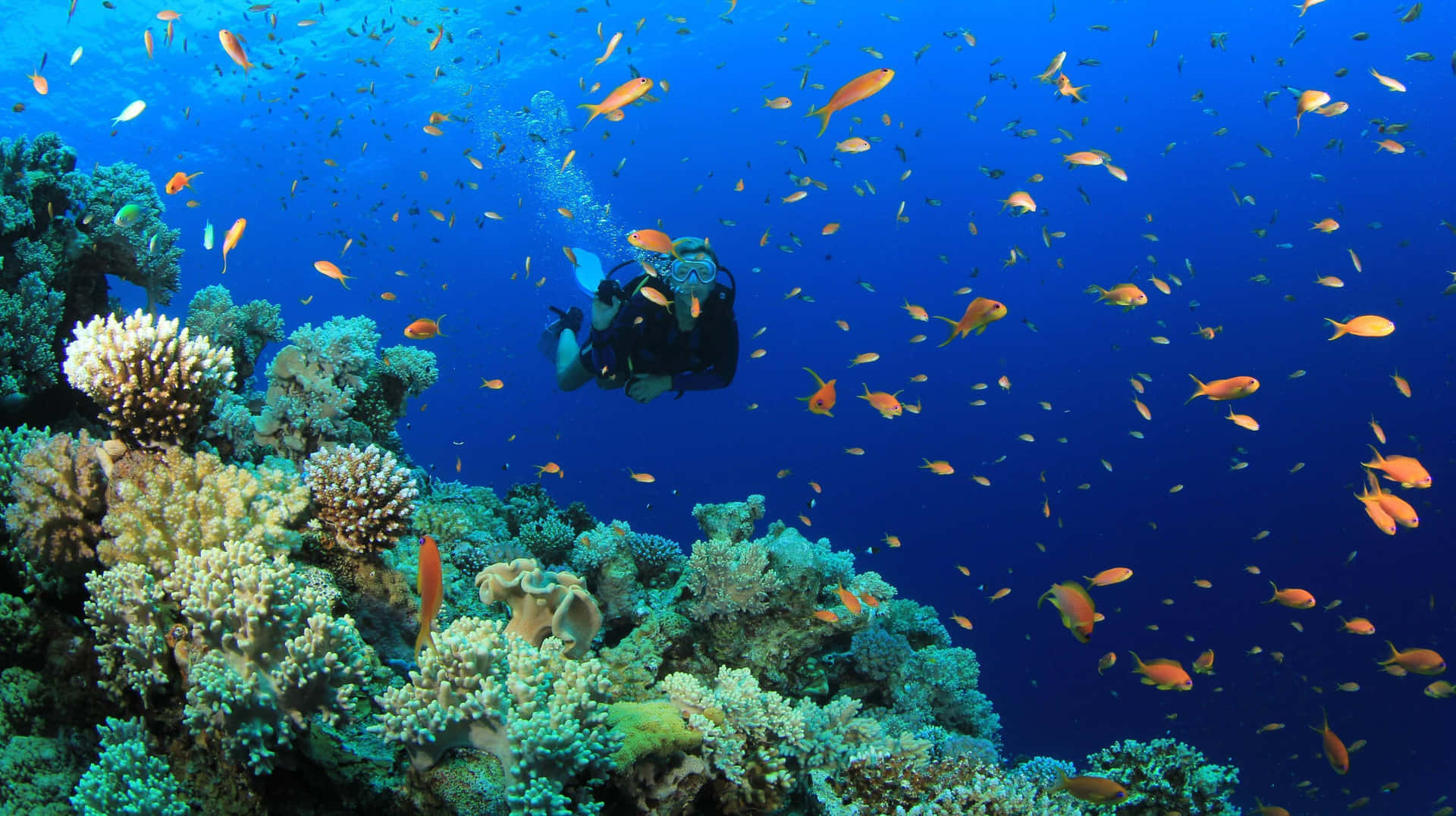 "Breathtaking Deep Sea Diving Adventure"