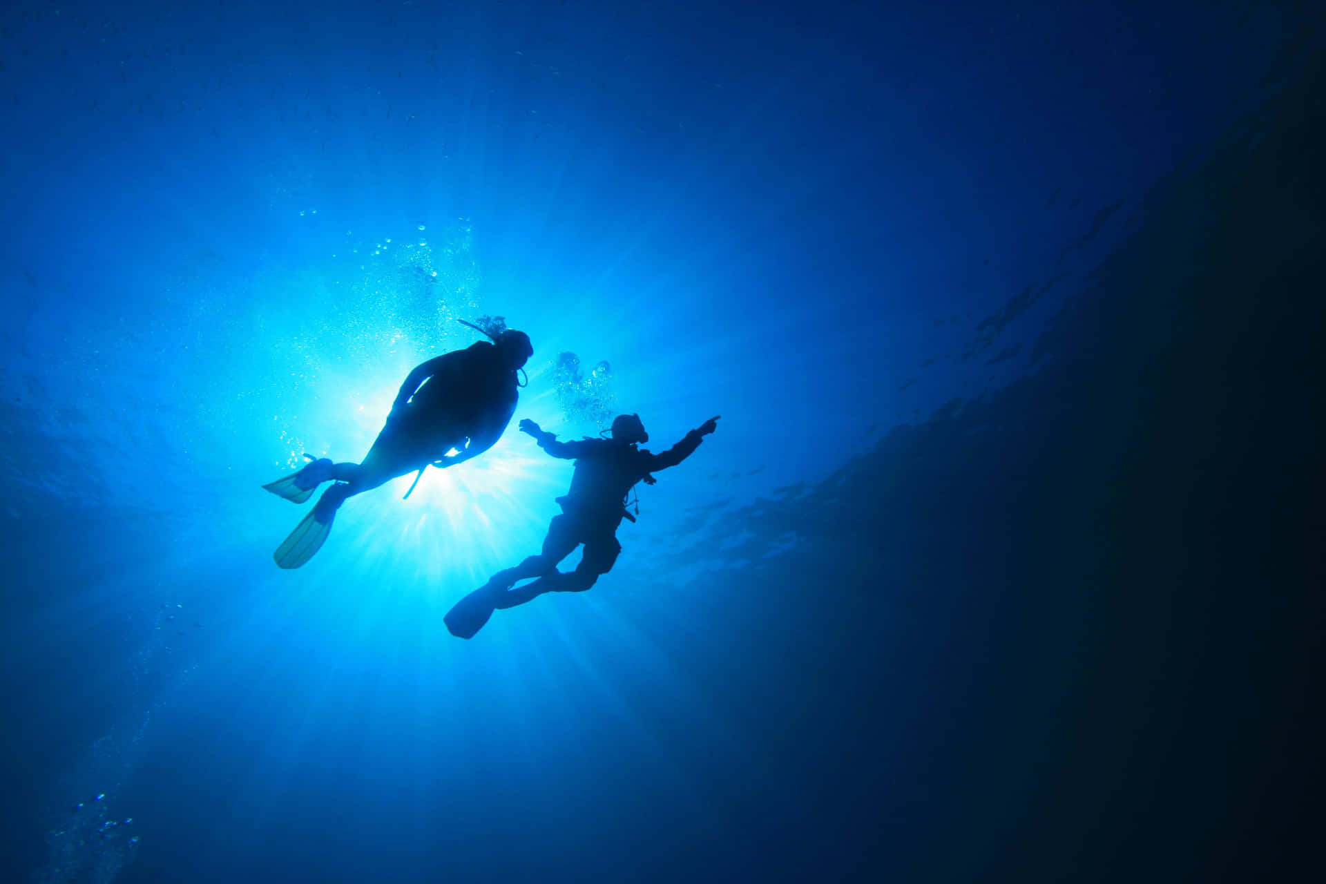 Tiefeintauchen In Eine Wunderschöne Unterwasserwelt