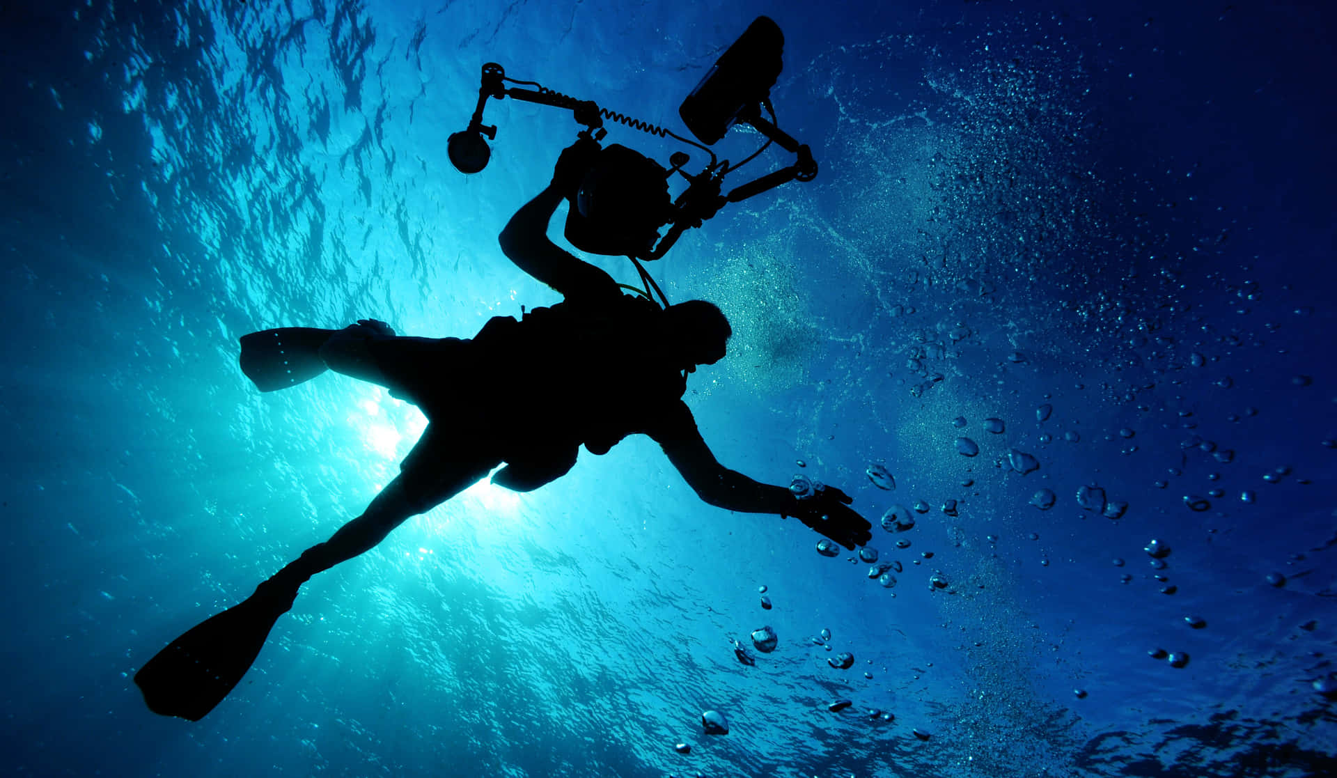 Explore the depths of a coral reef with a scuba diving adventure!