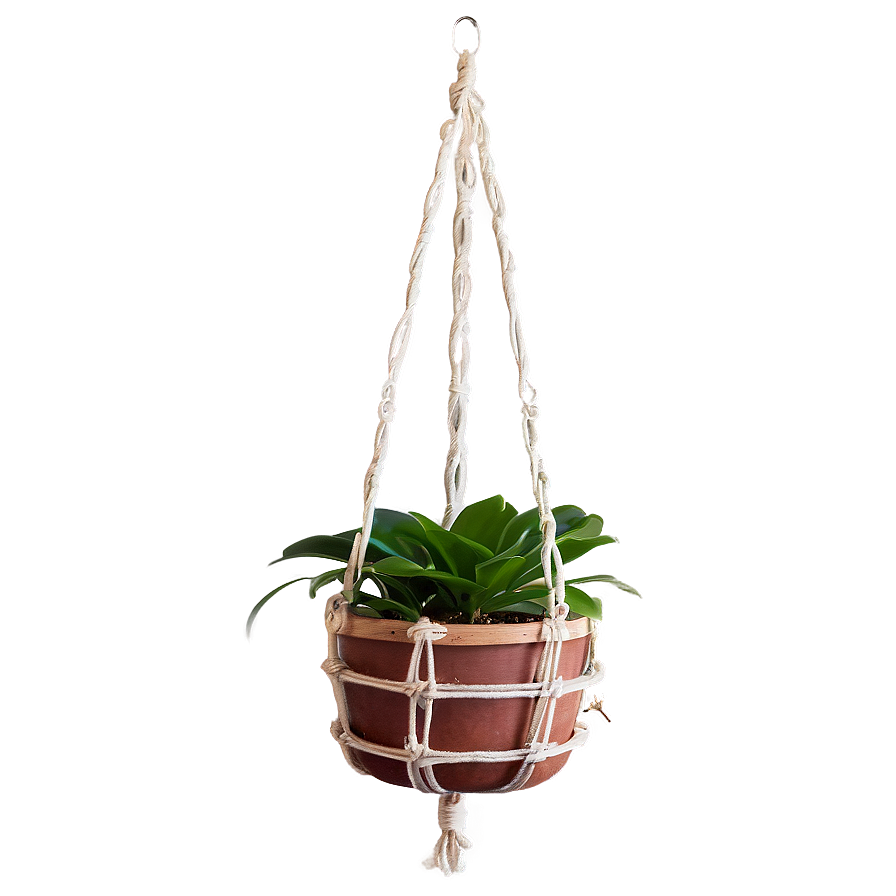 Download Diy Hanging Plant Png 53 | Wallpapers.com