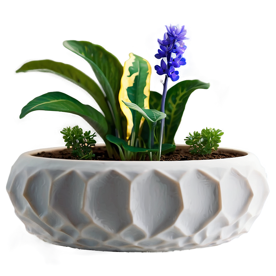 Diy Planter Png Dva PNG