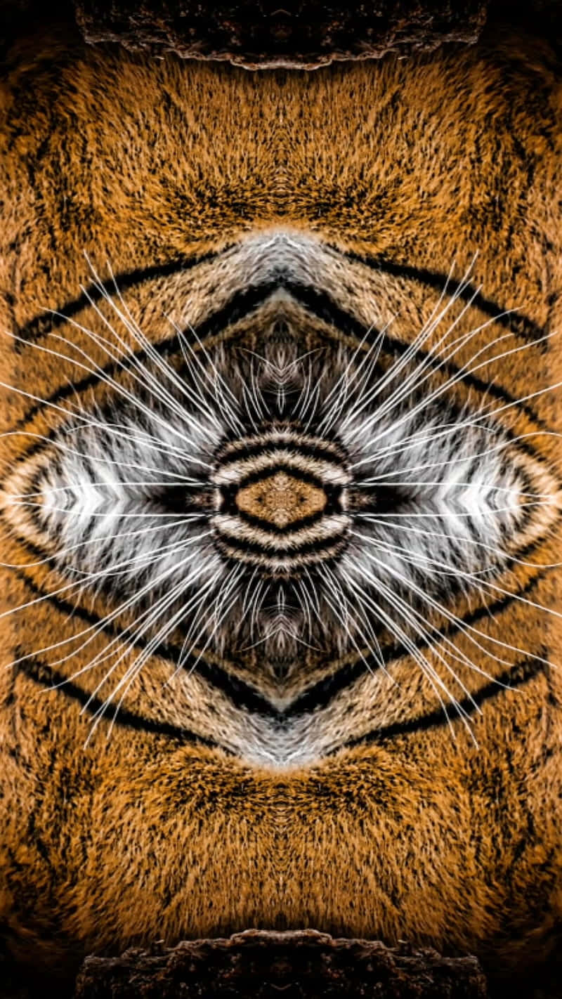 dmt Pattern Wallpaper — A symmetrical kaleidoscopic close-up of a tiger's face with intricate whiskers and stripes radiating from the center.
