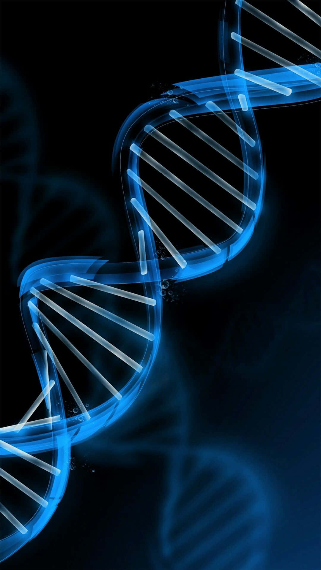 The Dance Of Life - DNA Molecule