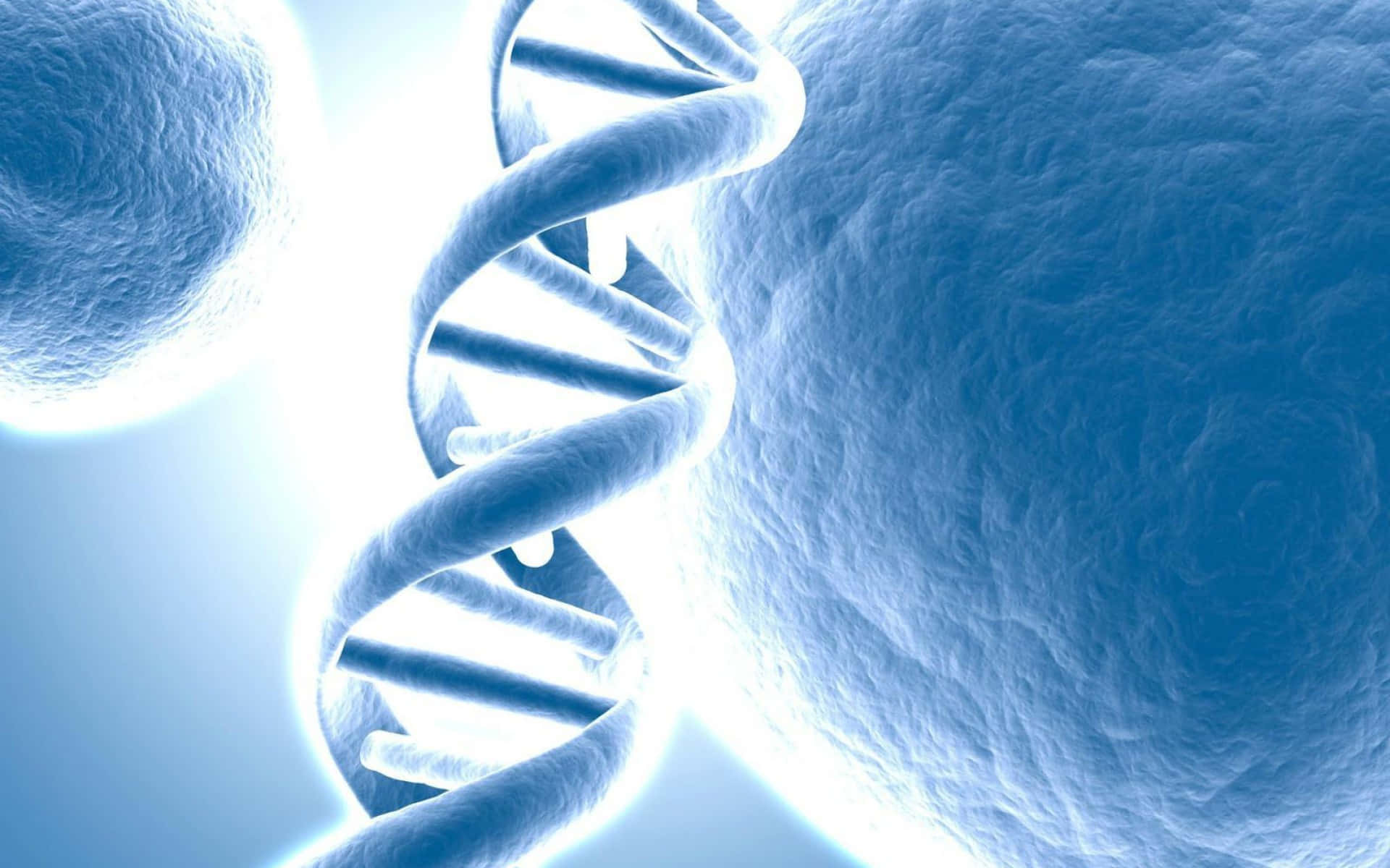 Explore the Secrets of Life with the Wonders of DNA
