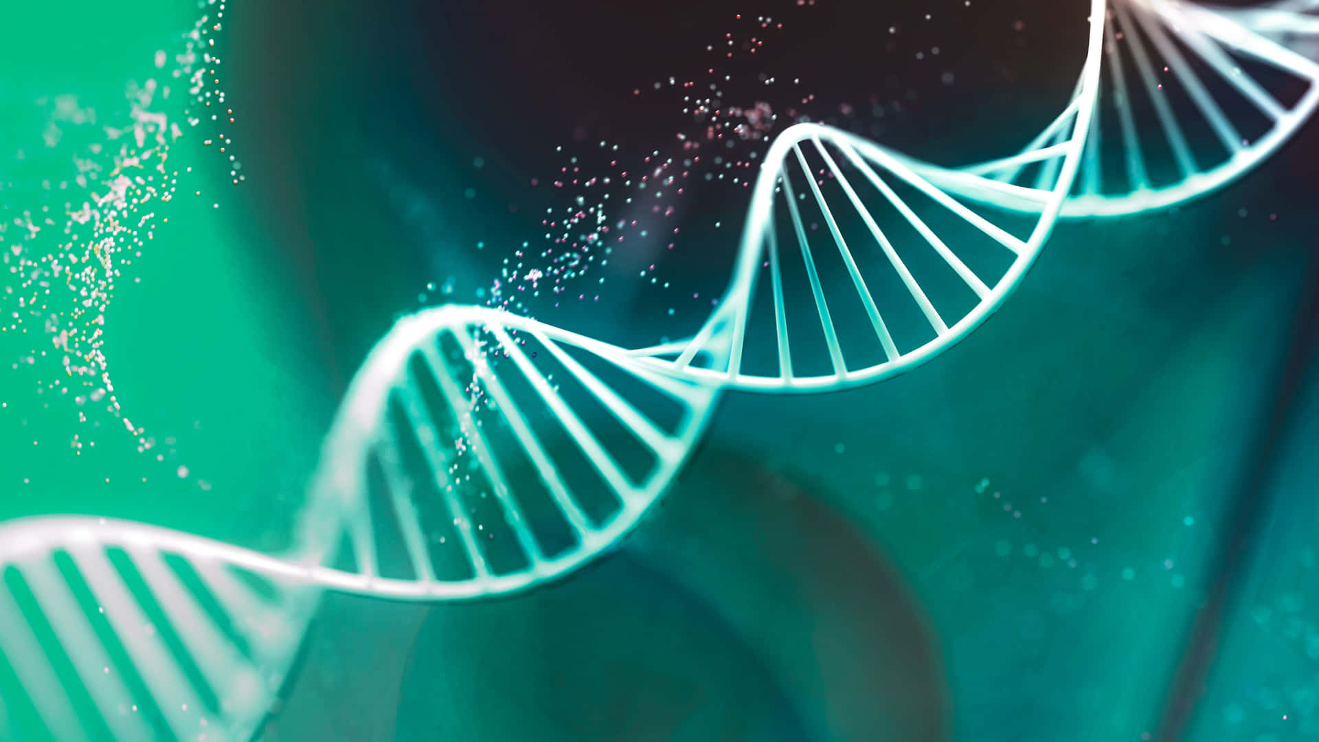 "Exploring the Secrets of DNA"