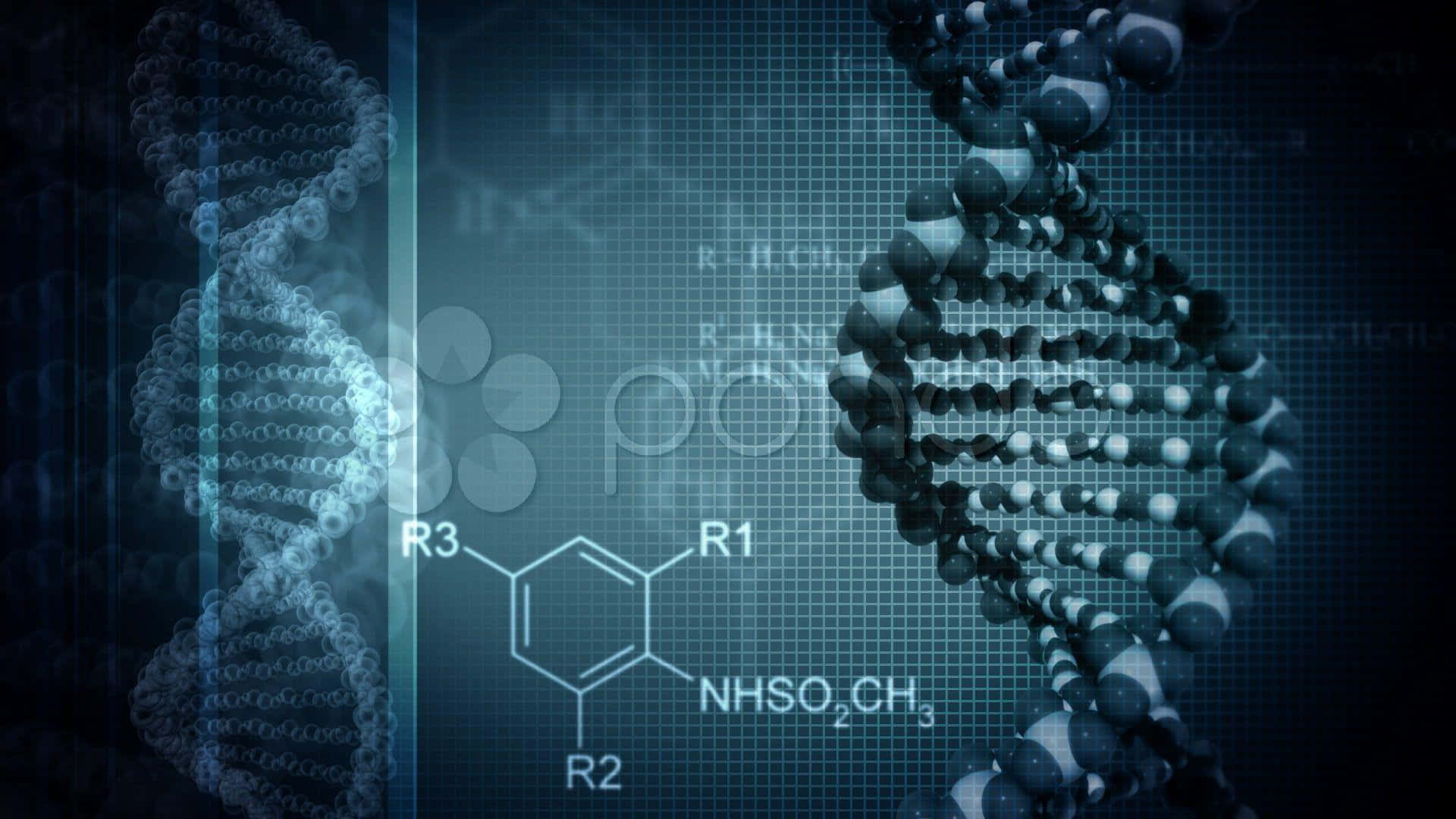Unlocking the secrets of life through DNA