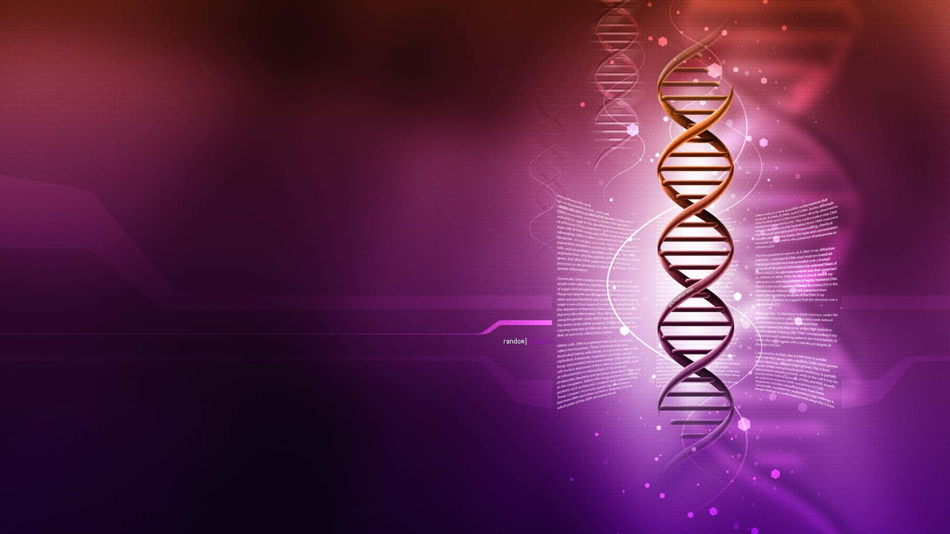 Exploring the Mystery of Our Origins with DNA