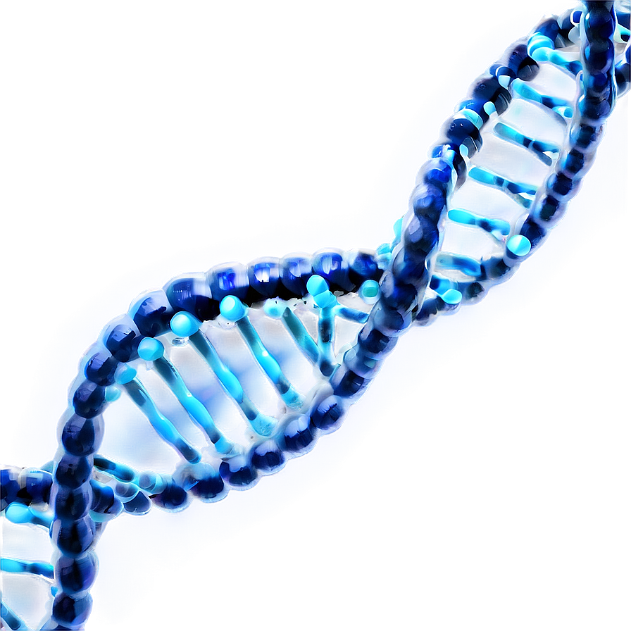 Download Dna Strand Unraveling Png Hsd | Wallpapers.com