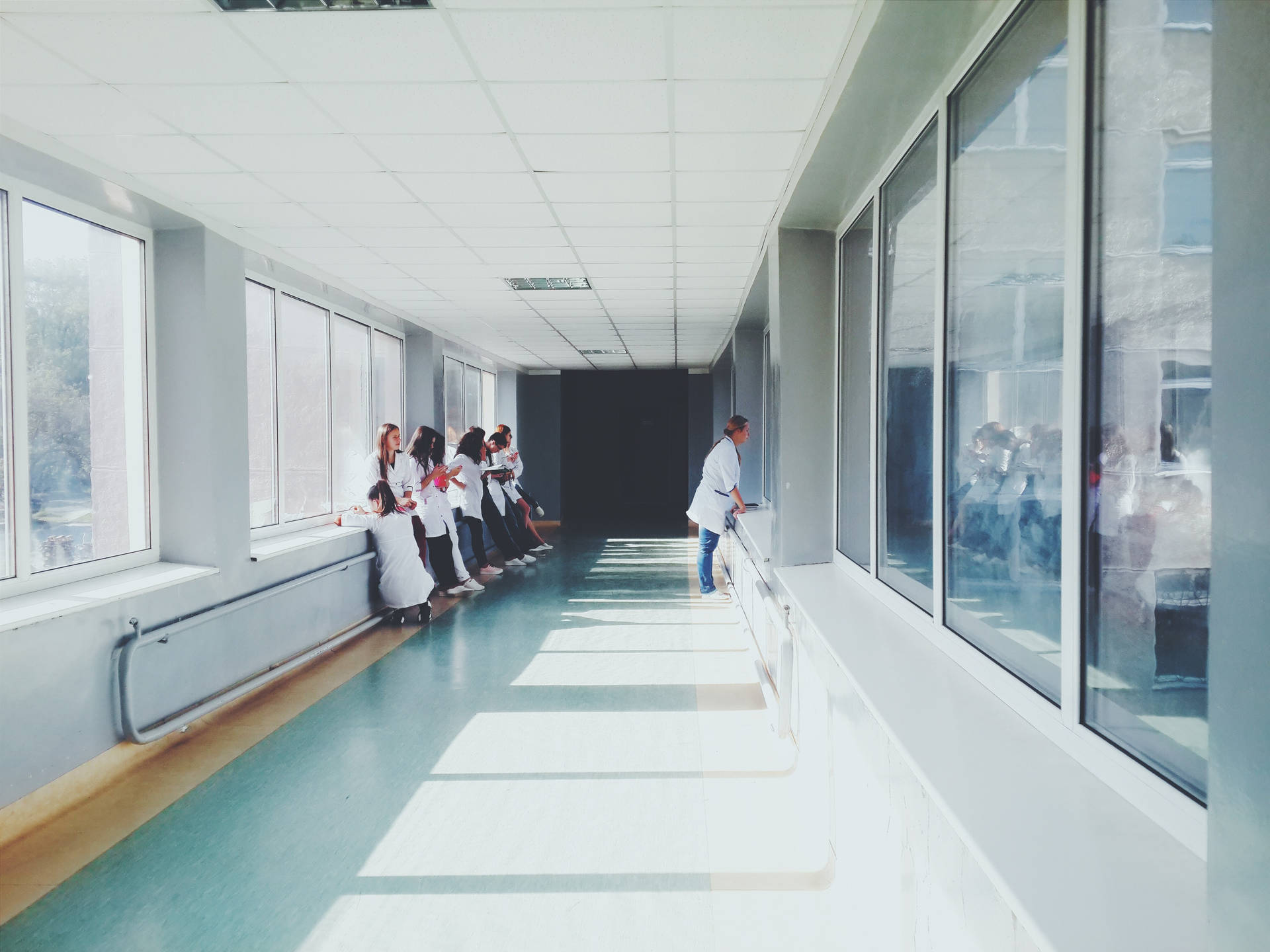Doctors Observing In The Hallway Wallpaper