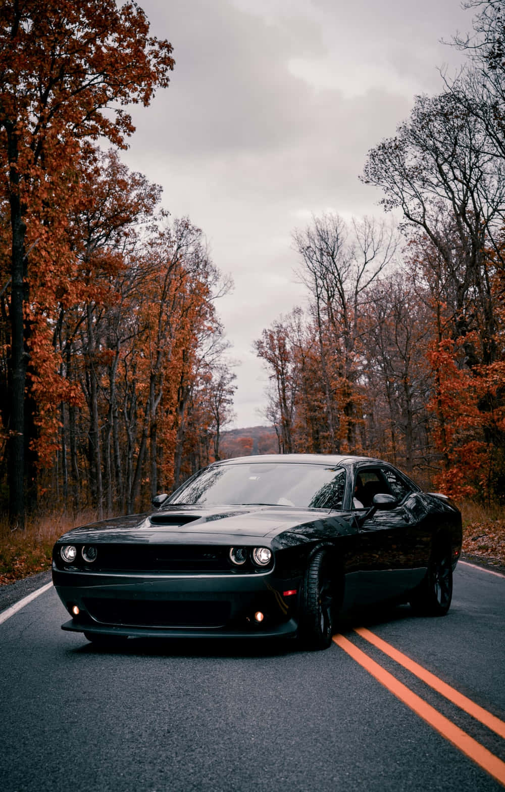 The Iconic Dodge Challenger in Brilliant 4k Wallpaper