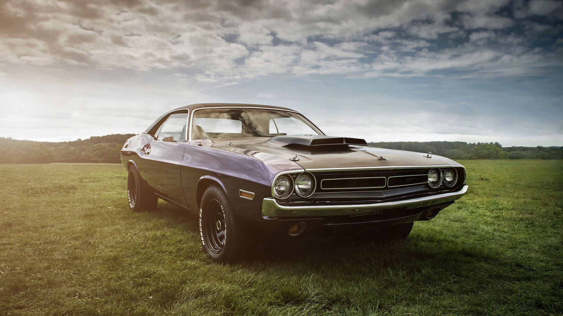 Dodge Challenger Classic Car In the Field Wallpaper