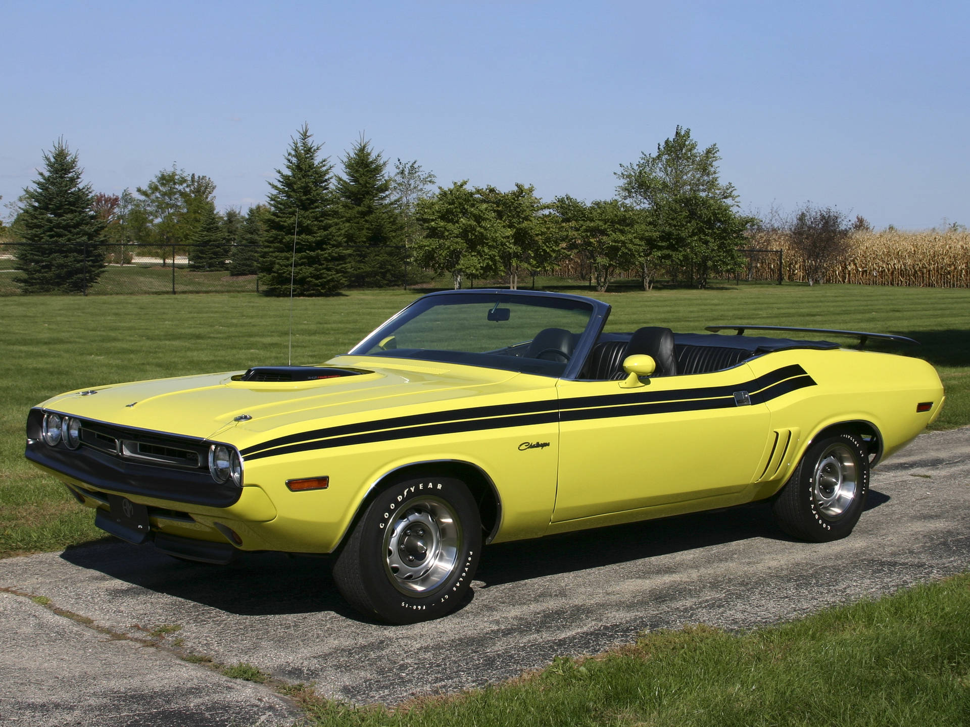 Dodge Challenger Cabriolet fyldt med musik. Wallpaper