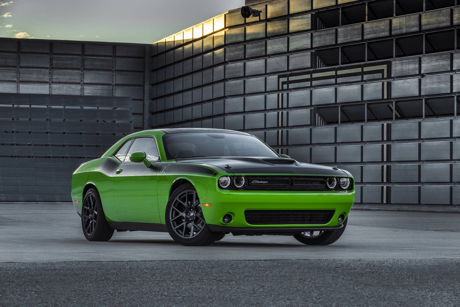 Dodge Challenger grøn muskelbil hænger på en landevej Wallpaper